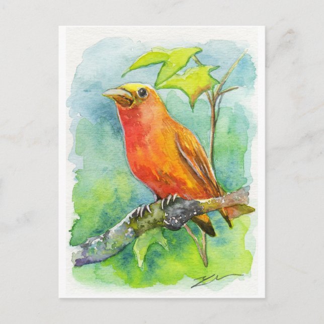 Orange Bird Postcard (Front)