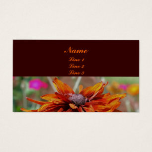 Orange Black Eyed Susan Daisy Flower