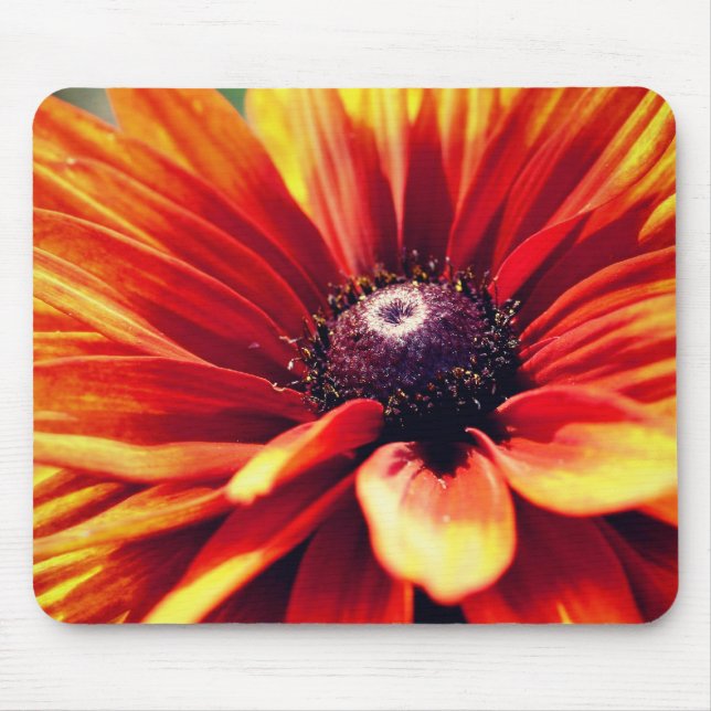 Orange Black Eyed Susan Daisy Flower  Mouse Mat (Front)