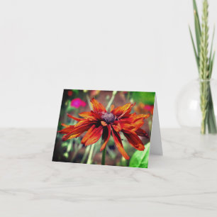 Orange Black Eyed Susan Flower Blank Note Card