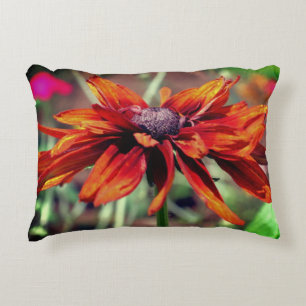 Orange Black Eyed Susan Flower Close Up   Decorative Cushion