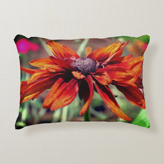 Orange Black Eyed Susan Flower Close Up   Decorative Cushion (Front)