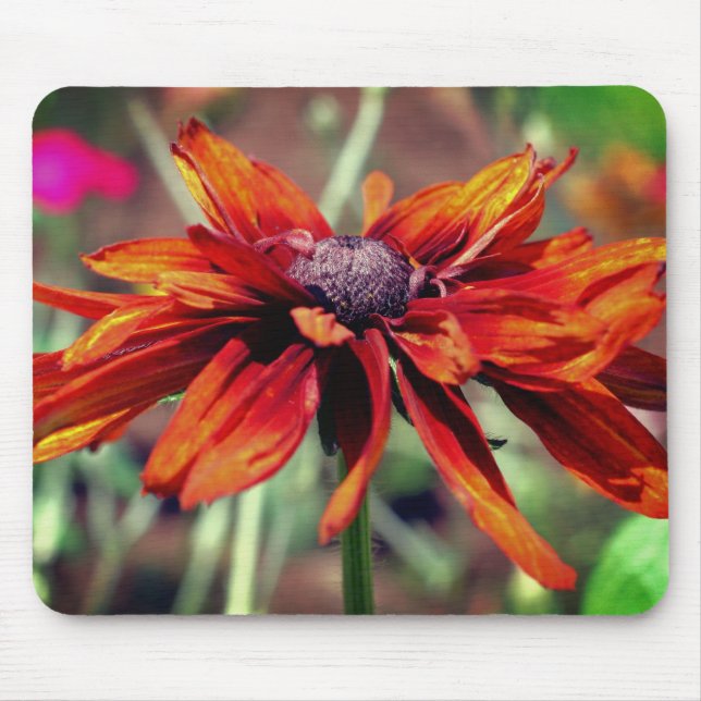 Orange Black Eyed Susan Flower  Mouse Mat (Front)