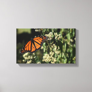 Orange Black Monarch Butterfly Nature Photography Canvas Print