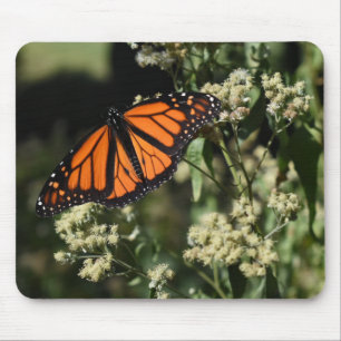 Orange Black Monarch Butterfly Nature Photography Mouse Mat