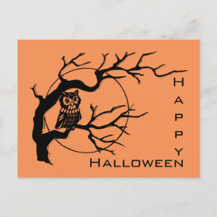 Orange & Black Owl Theme Halloween Postcard