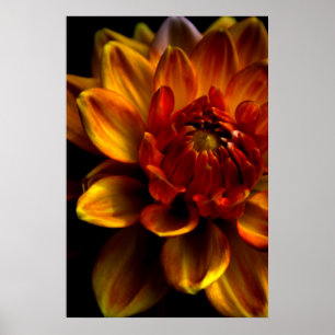 Orange Bloom Poster