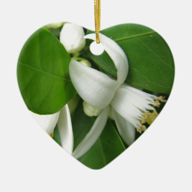 Orange Blossom Ceramic Tree Decoration (Front)