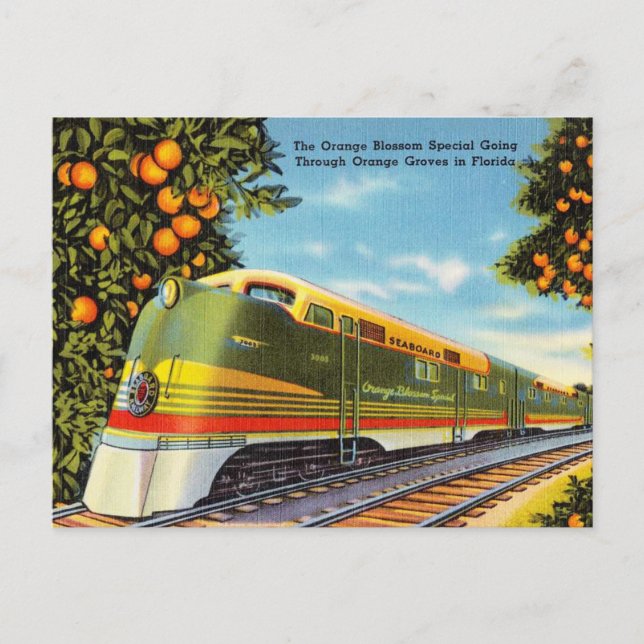 Orange Blossom Special Orange Groves in Floride Postcard (Front)