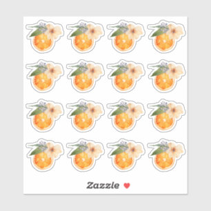 Orange Blossom Watercolor Mini Stickers