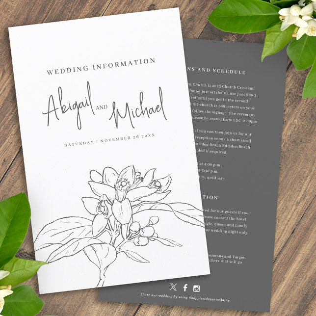 Orange blossom wedding guest information (Creator Uploaded)