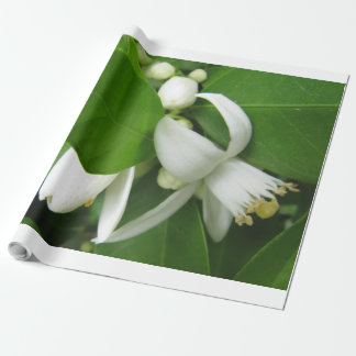 Orange Blossom Wrapping Paper