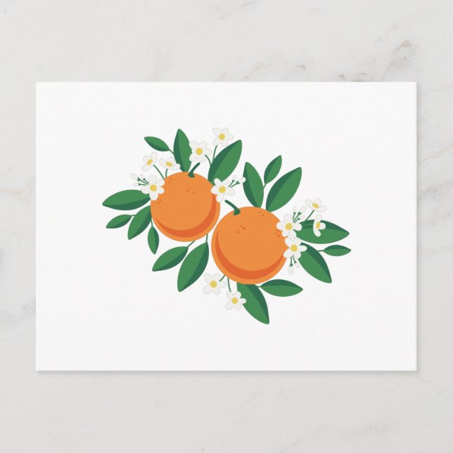 Orange Blossoms Postcard (Front)