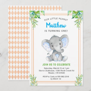Orange Blue Boy Elephant Birthday Little Gentleman Invitation