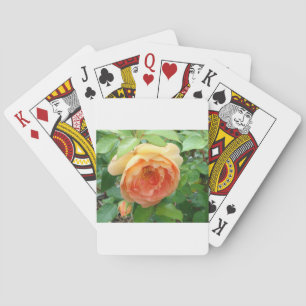 Orange Blush Rose Playing Cards