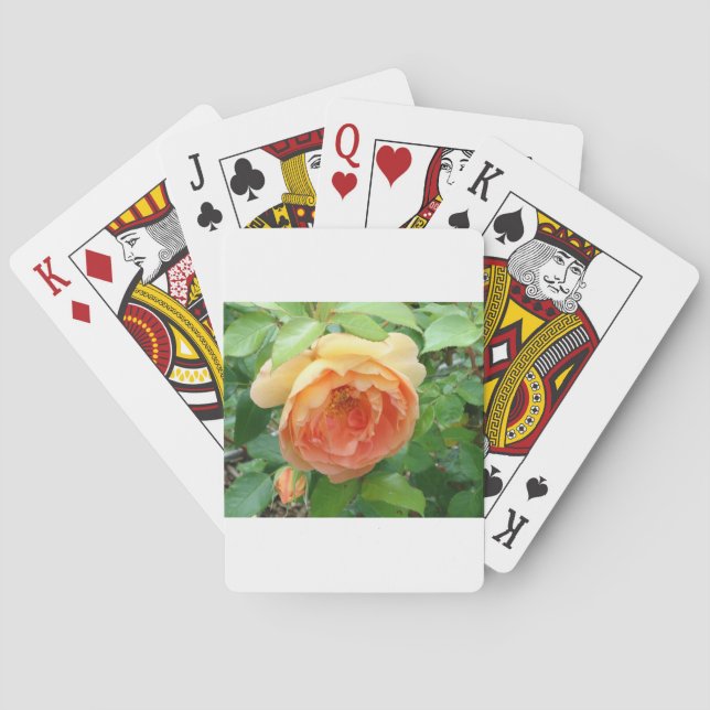 Orange Blush Rose Playing Cards (Back)