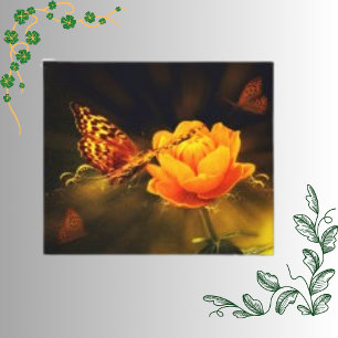Orange Botanical Flower with Nature's Butterfly Canvas Print