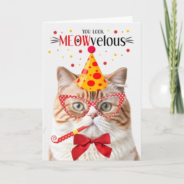 Orange British Shorthair Cat MEOWvelous Birthday Card (Front)