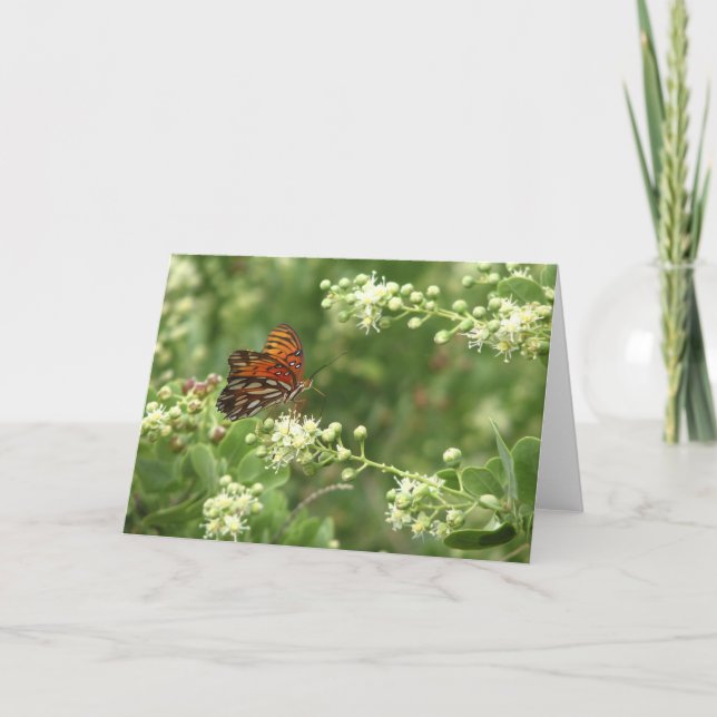 Orange Butterfly All Occasion Blank Greeting Card (Front)