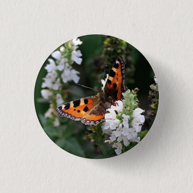 Orange Butterfly and White Blossoms 3 Cm Round Badge (Front)