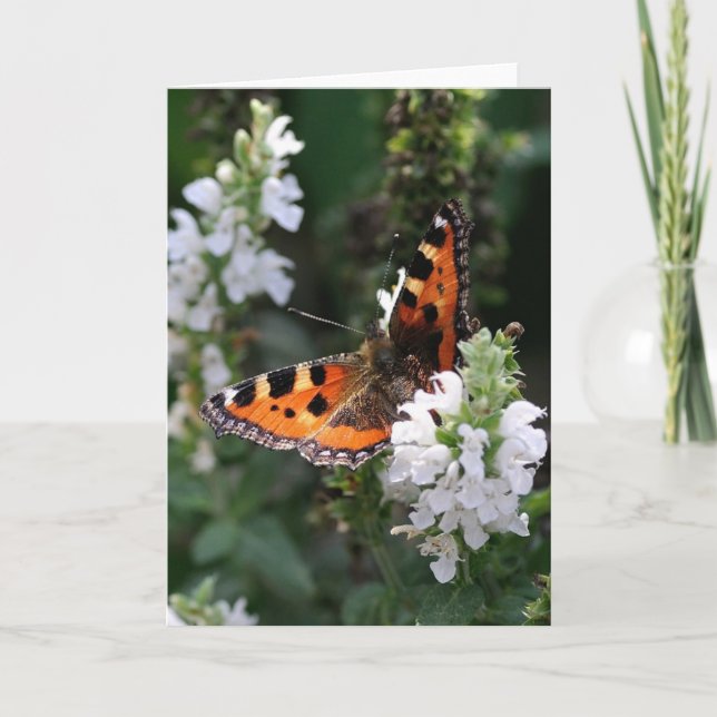 Orange Butterfly and White Blossoms Card (Front)
