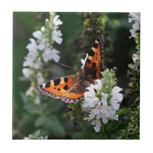 Orange Butterfly and White Blossoms Tile