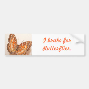 Orange Butterfly Bumper Sticker