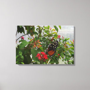 ORANGE BUTTERFLY CANVAS PRINT