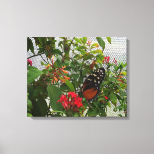 ORANGE BUTTERFLY CANVAS PRINT