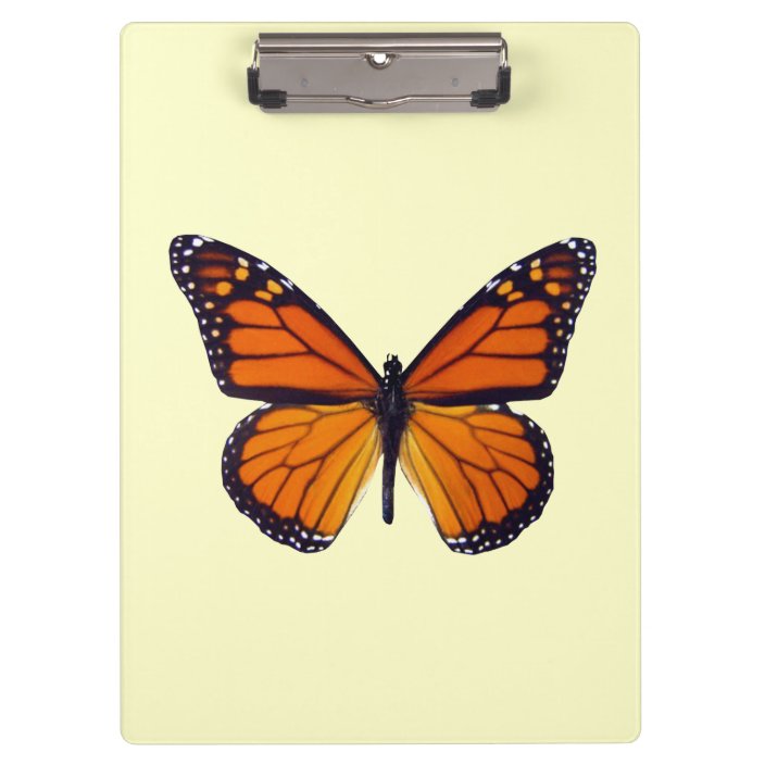 Orange Butterfly Clipboard Zazzle.co.uk