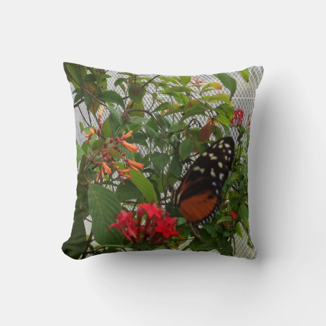 ORANGE BUTTERFLY CUSHION (Front)