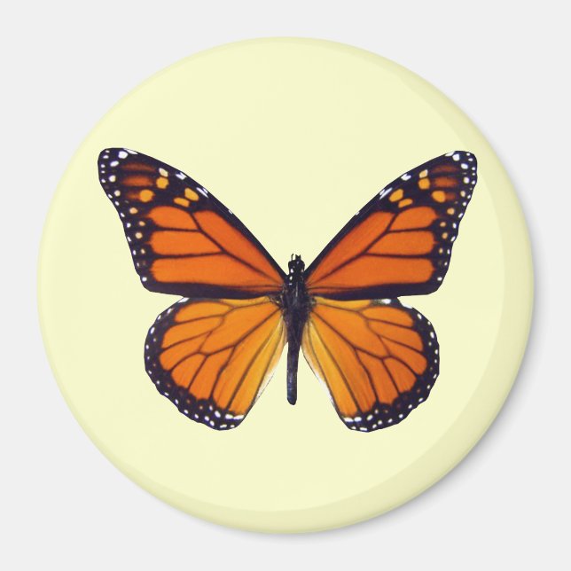 Orange Butterfly Magnet (Front)