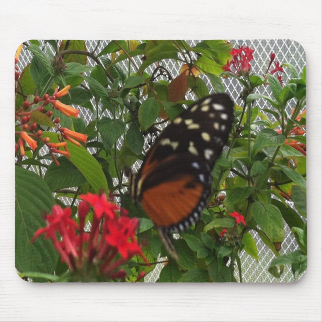 ORANGE BUTTERFLY MOUSE MAT (Front)