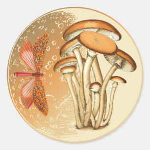 Orange Butterfly Mushroom Moon   Classic Round Sticker