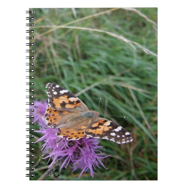 Orange Butterfly Notebook (Front)
