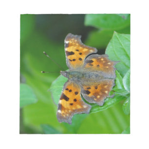 Orange butterfly notepad