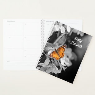 Orange Butterfly on Apple Blossom Daily Planner