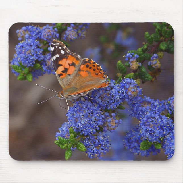 Orange Butterfly On Blue Flower Mouse Mat (Front)
