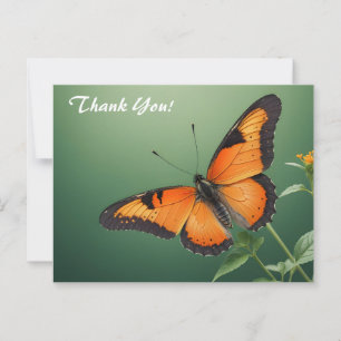 Orange Butterfly on Green Postcard