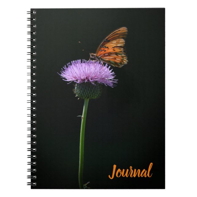 Orange Butterfly on Purple Flower Journal (Front)