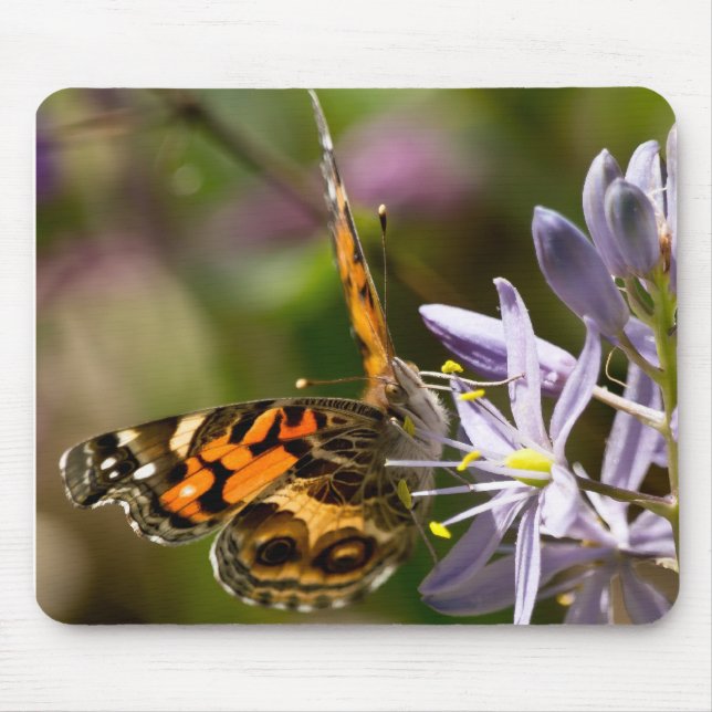 Orange Butterfly on Wild Hyacinth Apparel & Gifts Mouse Mat (Front)