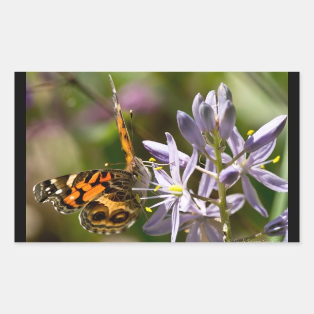 Orange Butterfly on Wild Hyacinth Apparel & Gifts Rectangular Sticker (Front)