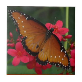 Orange Butterfly tile