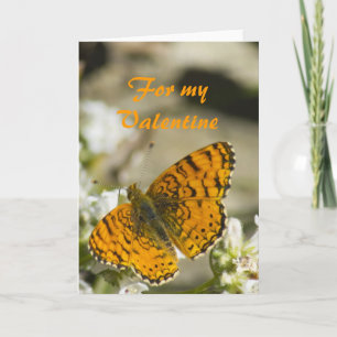 Orange Butterfly Valentine Holiday Card