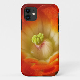 Orange cactus flower iPhone Case