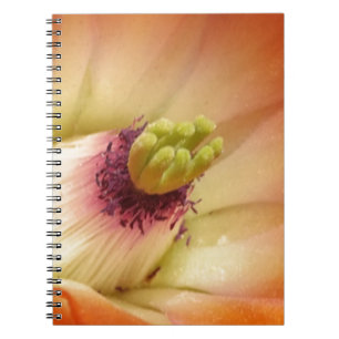 Orange Cactus Flower Notebook