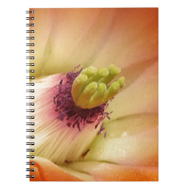 Orange Cactus Flower Notebook (Front)