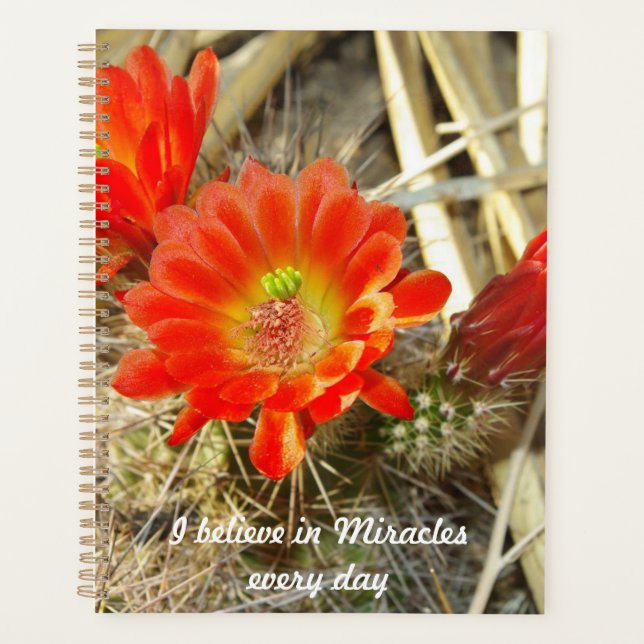 Orange Cactus Flower, the Miracle of New Mexico Planner (Front)