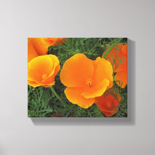 Orange California Flowers Canvas Print (Front)