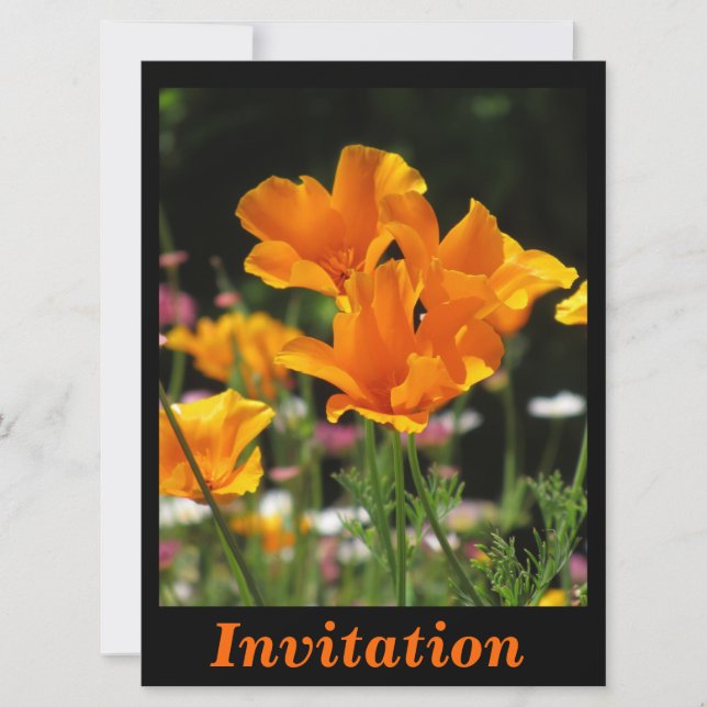 Orange California Poppies Invitation (Front)